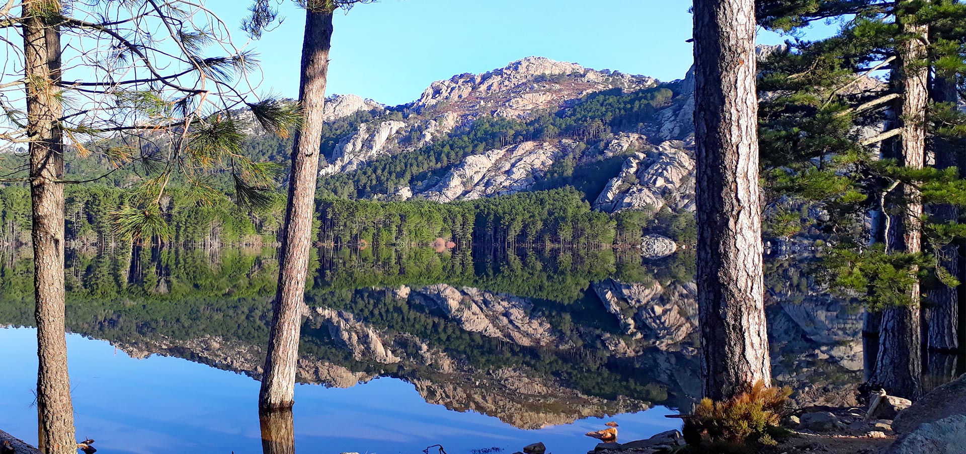 CLD Visites Ospedale