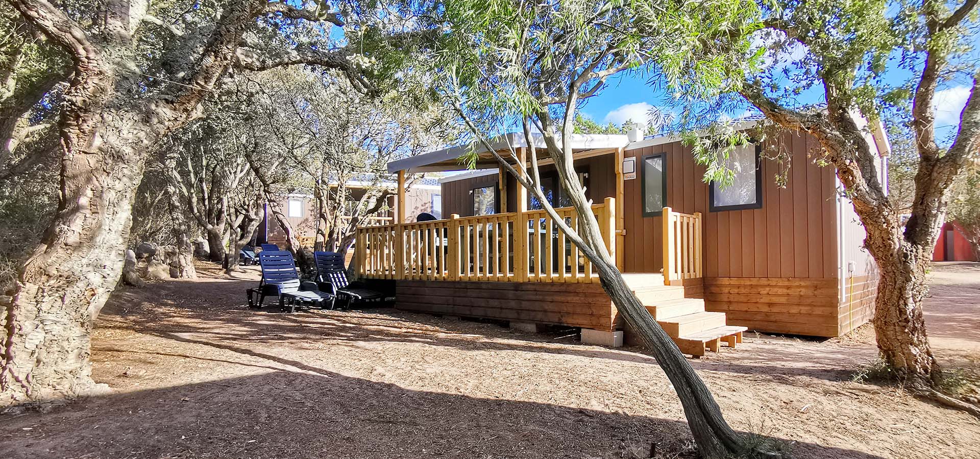 Camping kevano bungalow castagno vue generale
