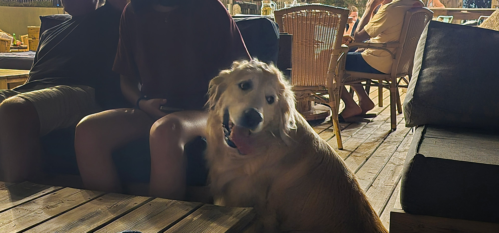 Camping kevano chien restaurant