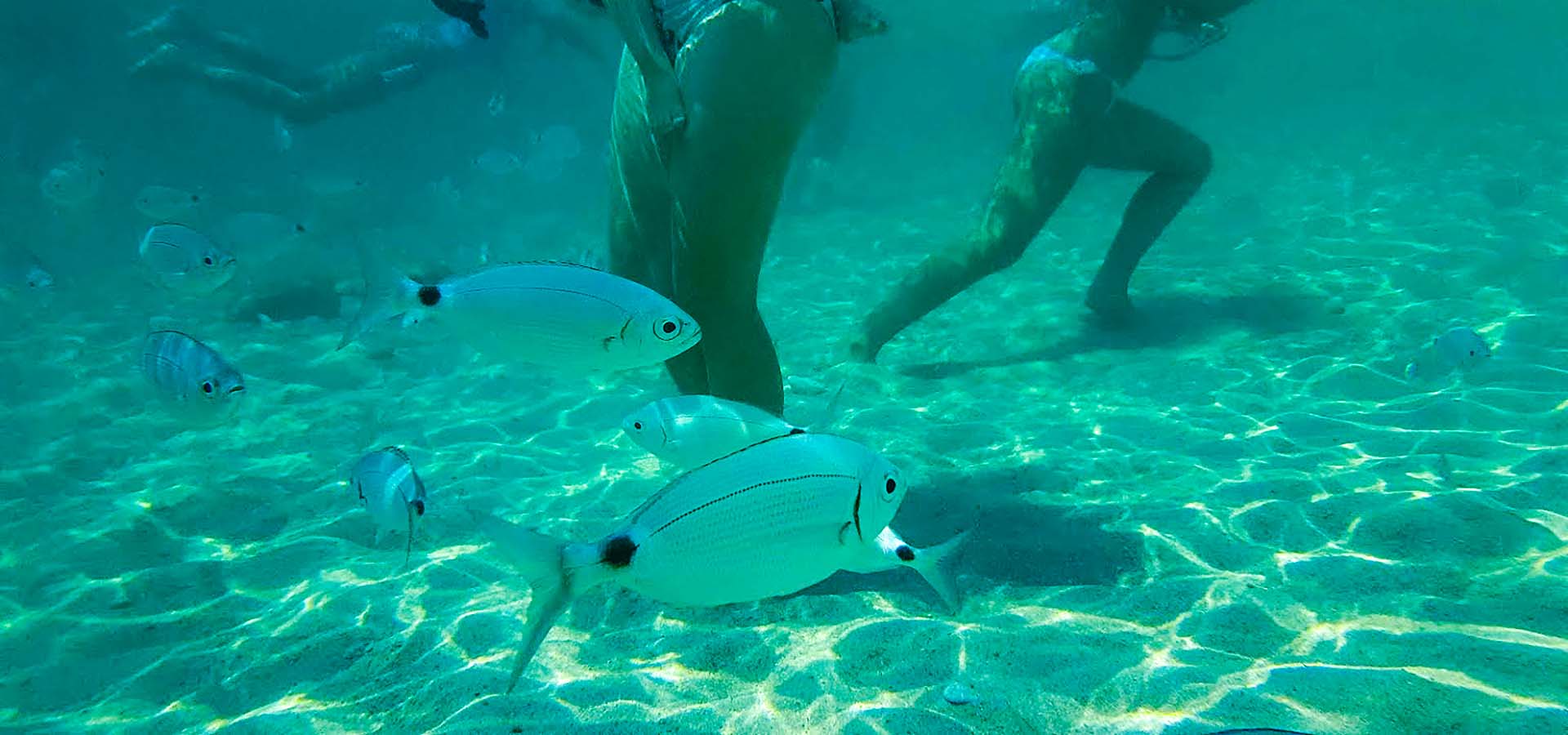 Camping Kevano balades Pertusato fond poisson