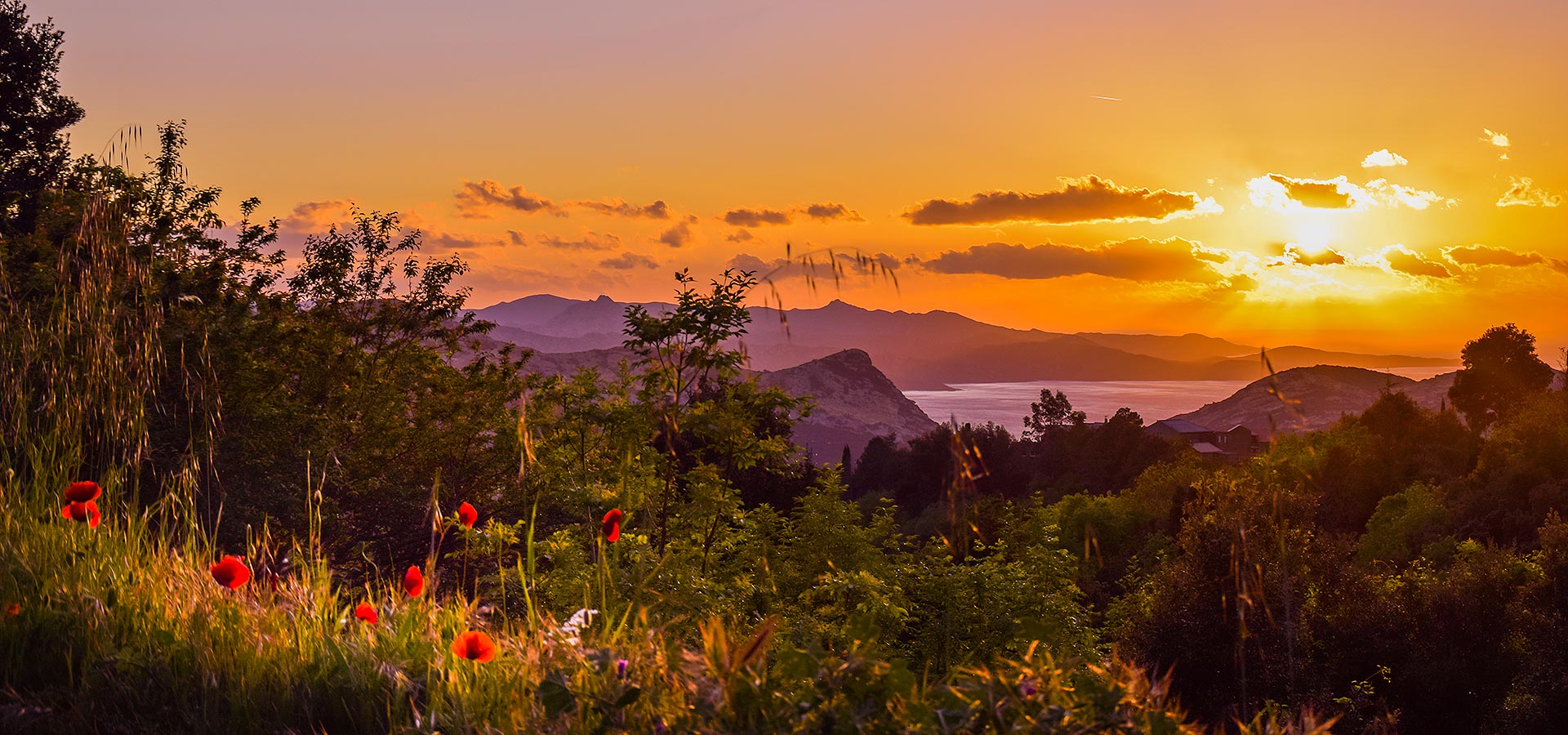 Camping san damiano region Nebbio saint florent coucher soleil coquelicot printemps