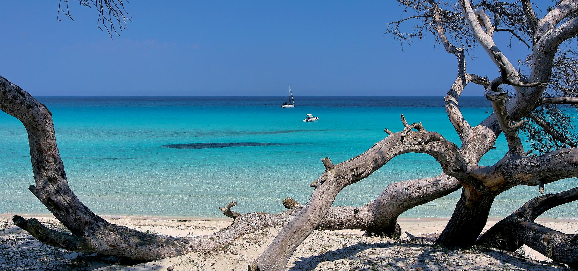 Camping san damiano region desert agriates plage saleccia genevrier bateau