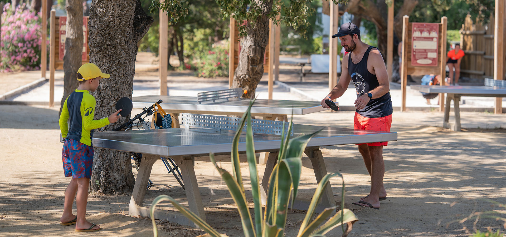 Camping san damiano jeux tennis de table pere contre son fils